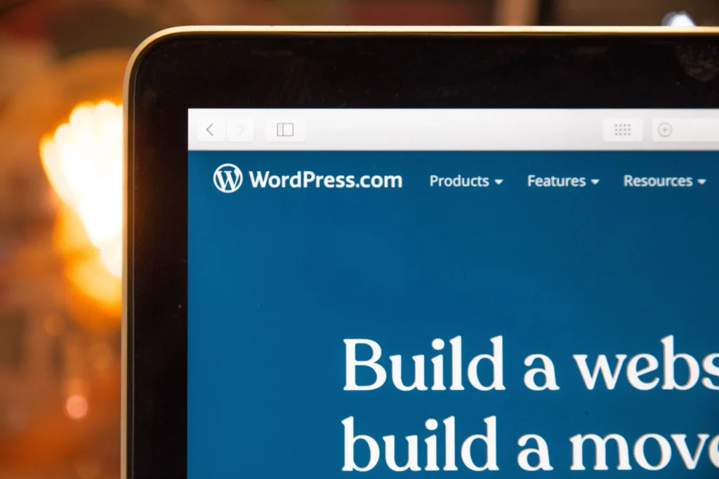 wordpress-development-scaled-1